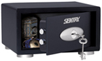 ���� T1-100 SENTRY