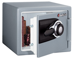 ���� MS-0200 SENTRY