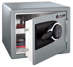 ���� MS-0607 SENTRY