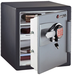 ���� OA-3817 SENTRY